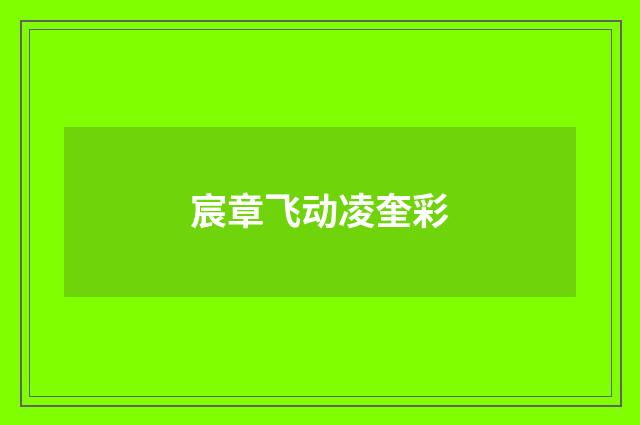 宸章飞动凌奎彩