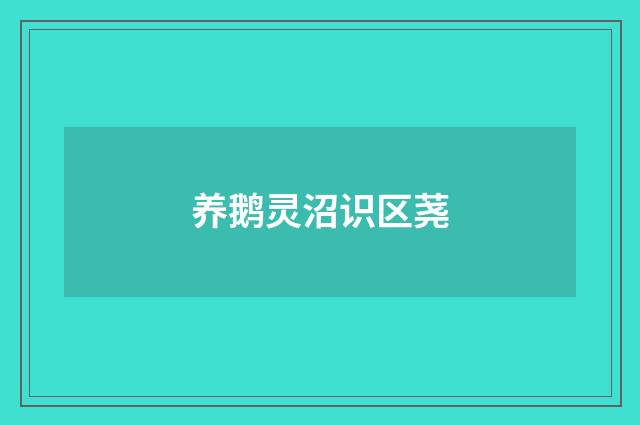 养鹅灵沼识区荛