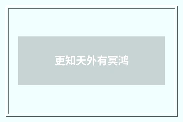 更知天外有冥鸿