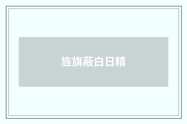 旌旗蔽白日精