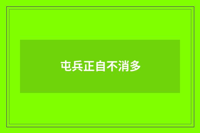 屯兵正自不消多