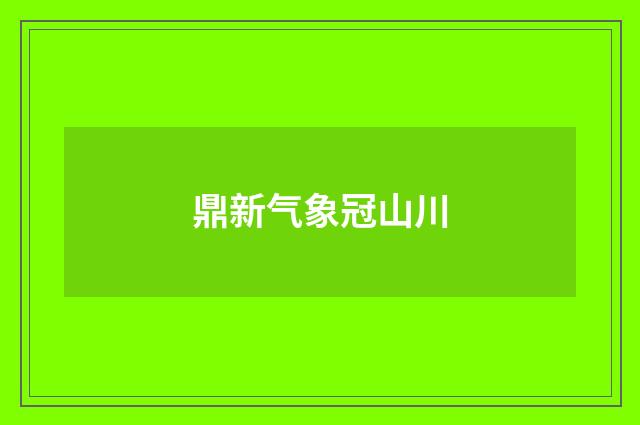 鼎新气象冠山川
