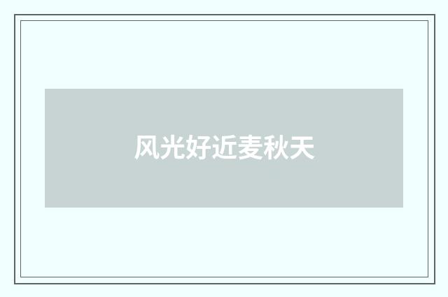 风光好近麦秋天