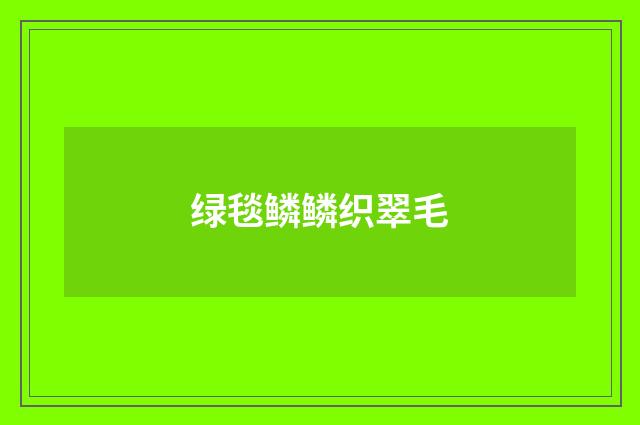 绿毯鳞鳞织翠毛