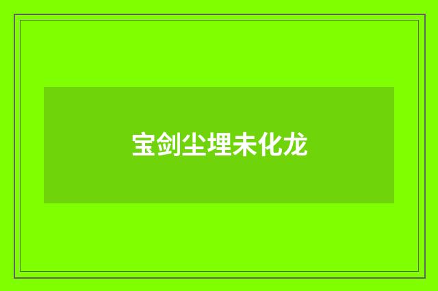 宝剑尘埋未化龙