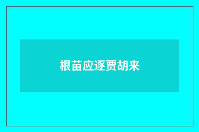 根苗应逐贾胡来