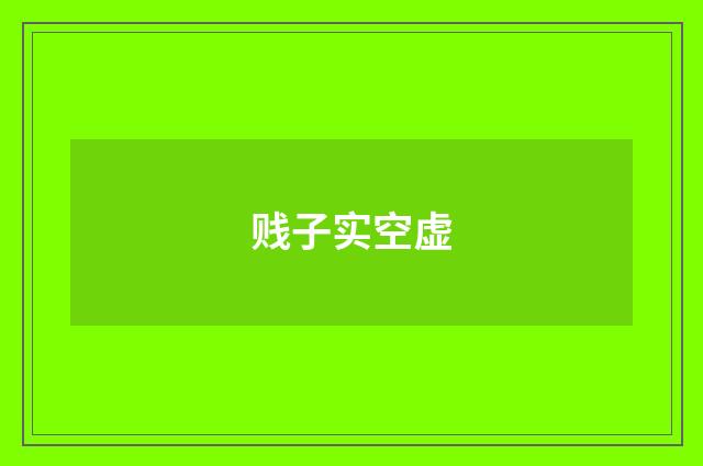 贱子实空虚