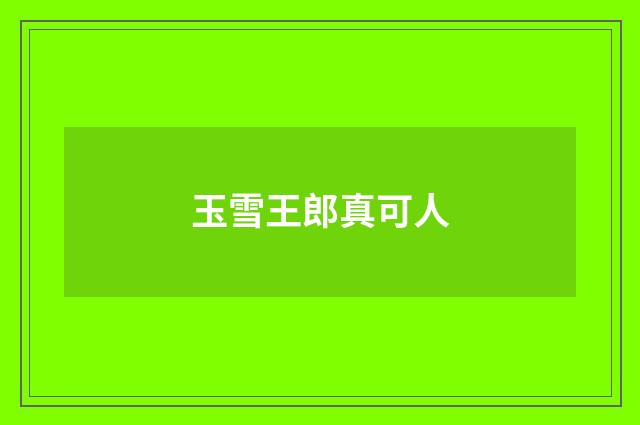 玉雪王郎真可人