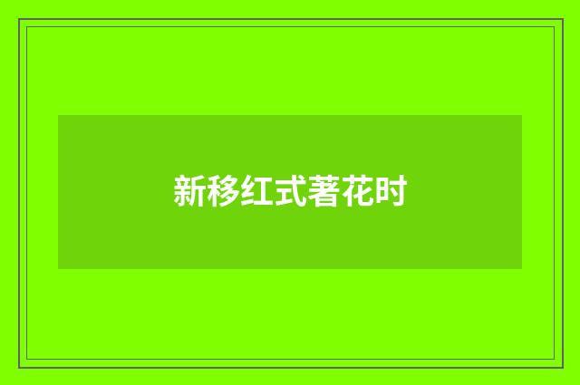 新移红式著花时