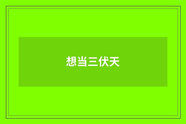 想当三伏天