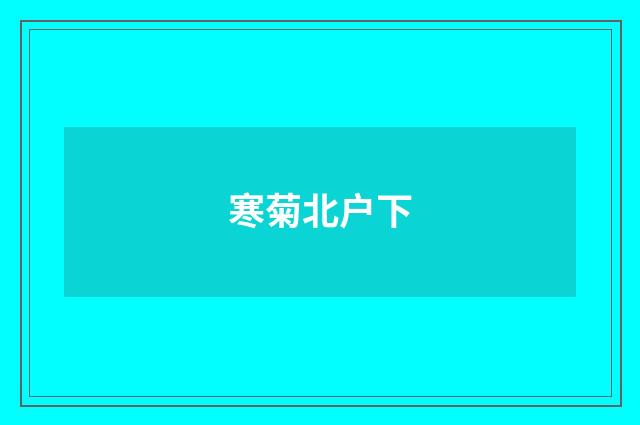 寒菊北户下