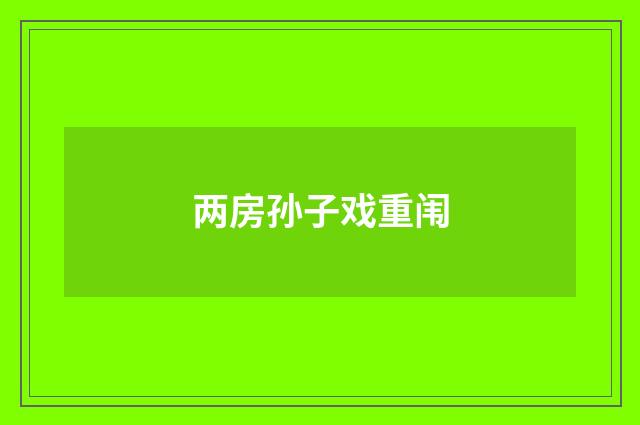两房孙子戏重闱