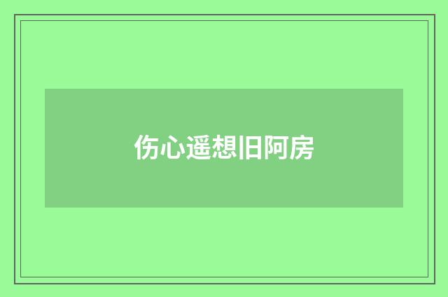 伤心遥想旧阿房