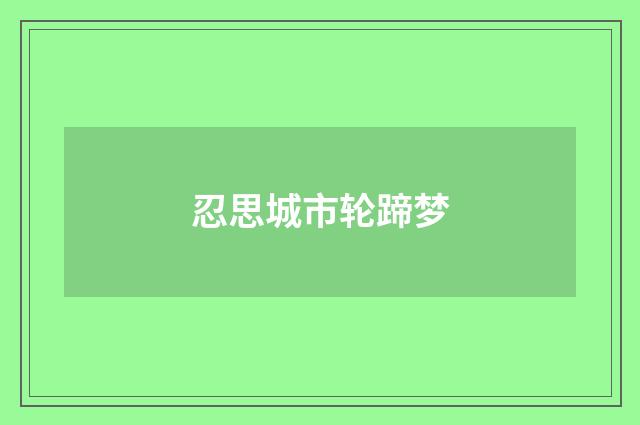 忍思城市轮蹄梦