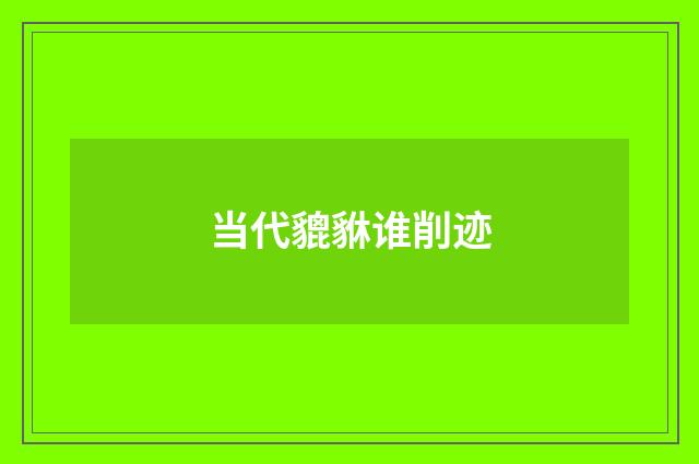 当代貔貅谁削迹