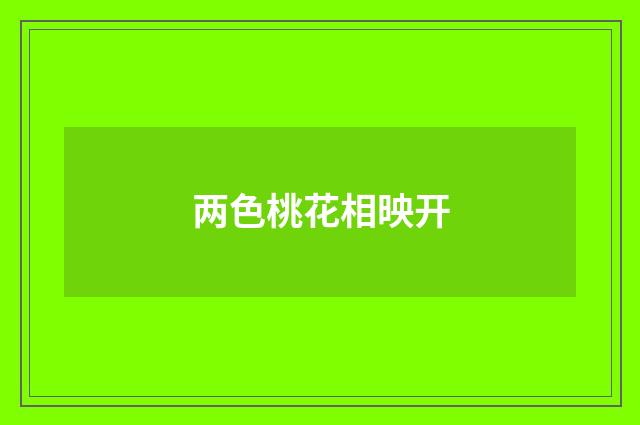 两色桃花相映开