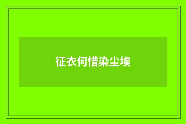 征衣何惜染尘埃