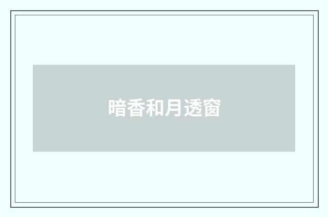 暗香和月透窗