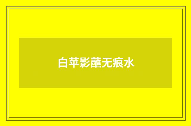 白苹影蘸无痕水