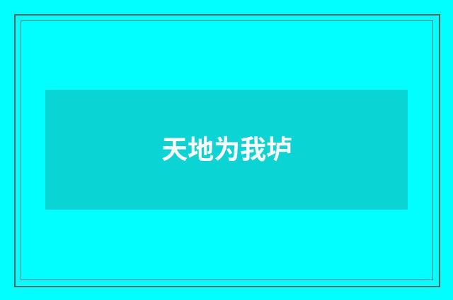 天地为我垆