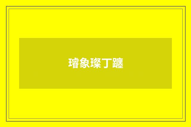 璿象璨丁躔