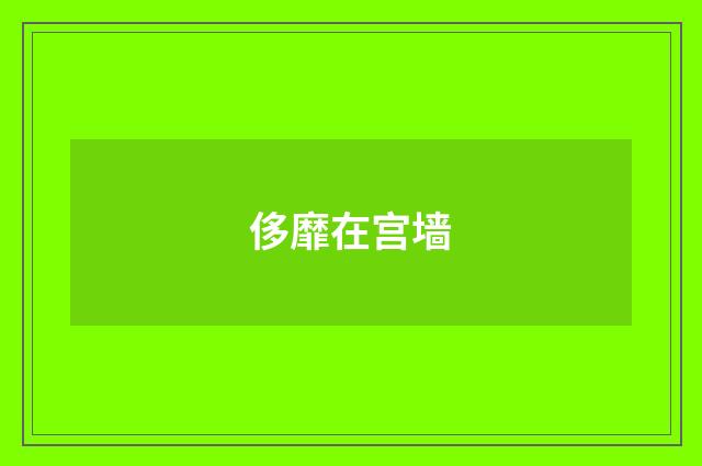 侈靡在宫墙