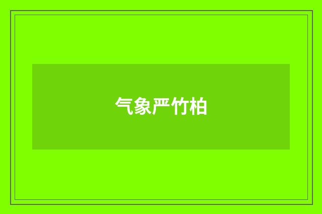 气象严竹柏