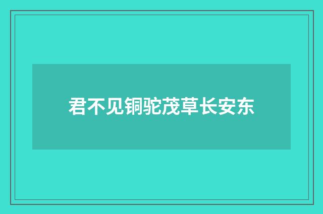 君不见铜驼茂草长安东