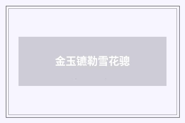 金玉镳勒雪花骢