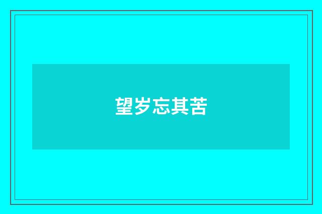 望岁忘其苦