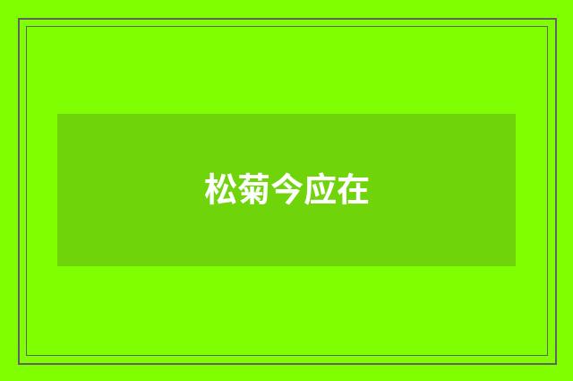 松菊今应在