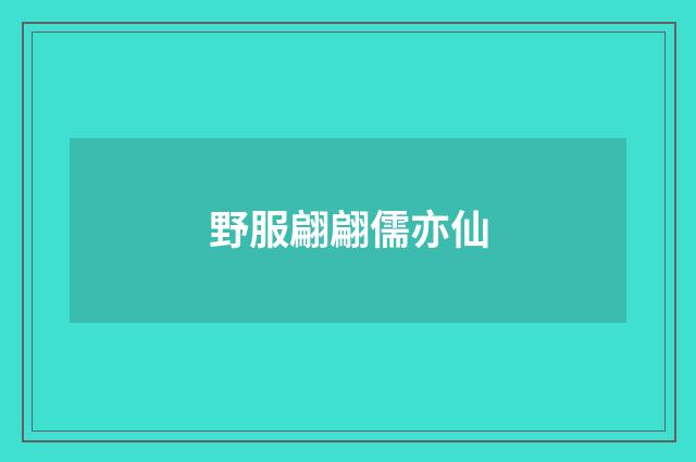 野服翩翩儒亦仙