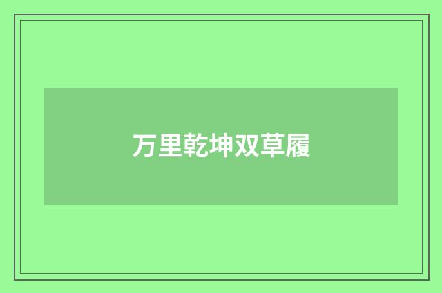 万里乾坤双草履