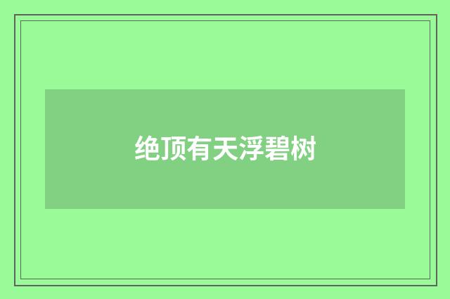 绝顶有天浮碧树