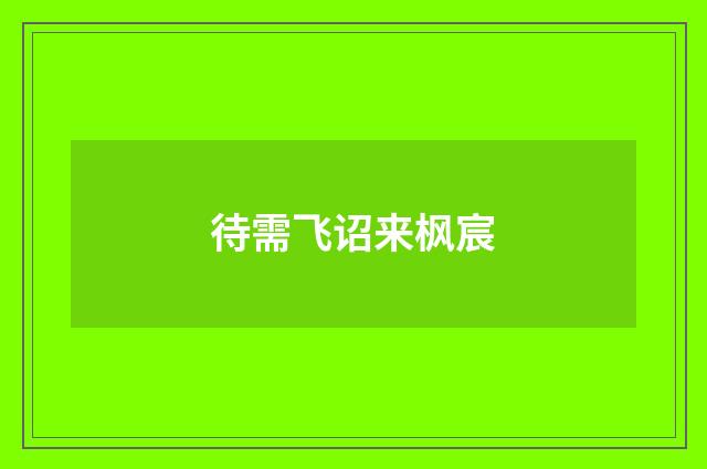 待需飞诏来枫宸
