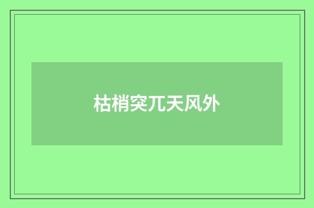 枯梢突兀天风外