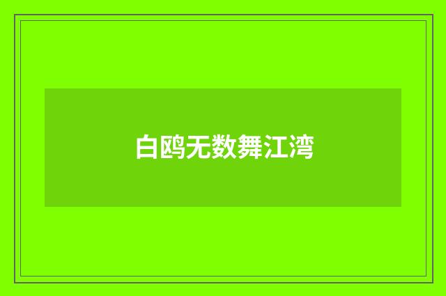 白鸥无数舞江湾