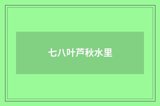 七八叶芦秋水里