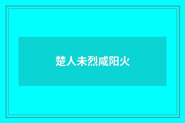 楚人未烈咸阳火