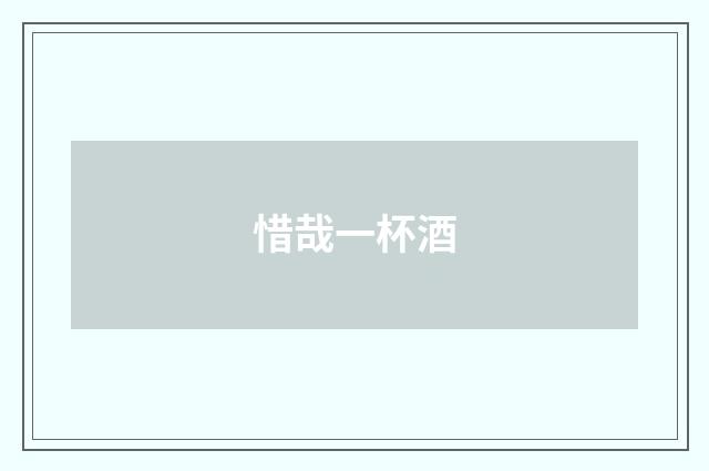 惜哉一杯酒