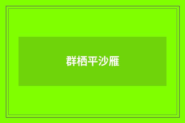 群栖平沙雁