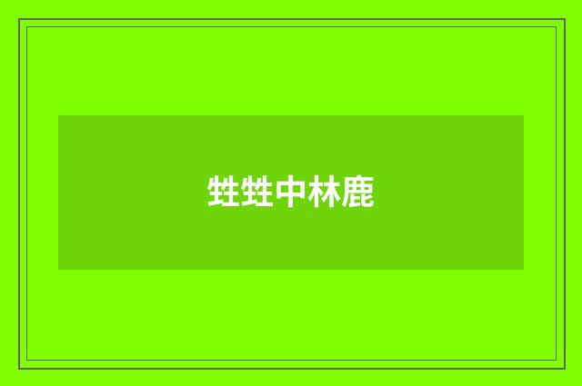 甡甡中林鹿