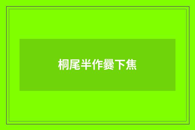 桐尾半作爨下焦