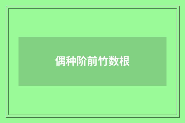 偶种阶前竹数根