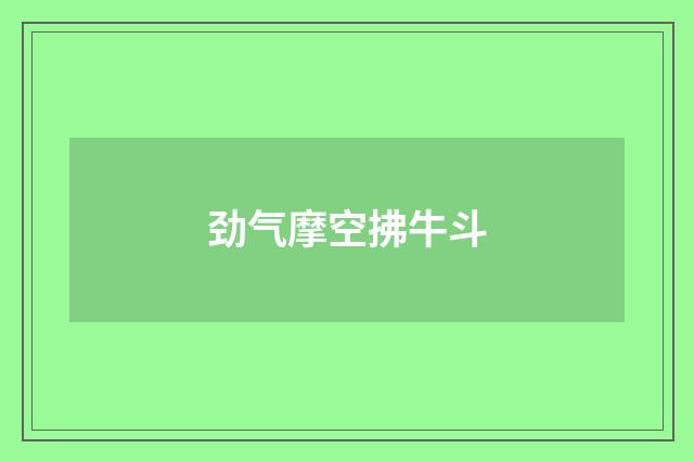 劲气摩空拂牛斗