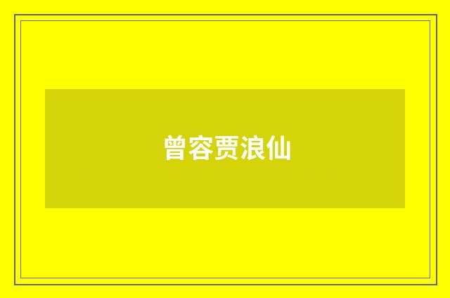 曾容贾浪仙