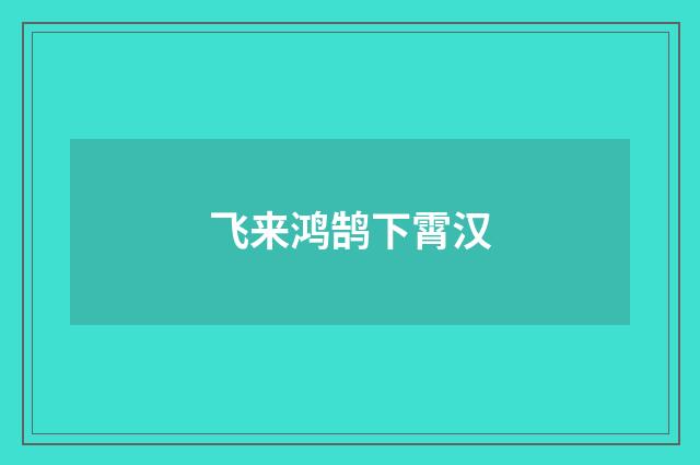 飞来鸿鹄下霄汉
