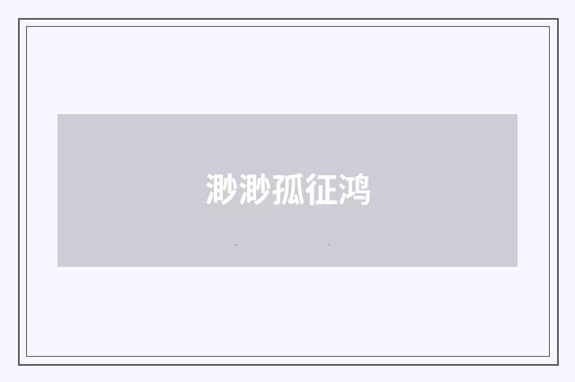 渺渺孤征鸿