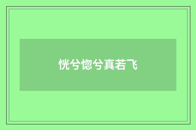 恍兮惚兮真若飞