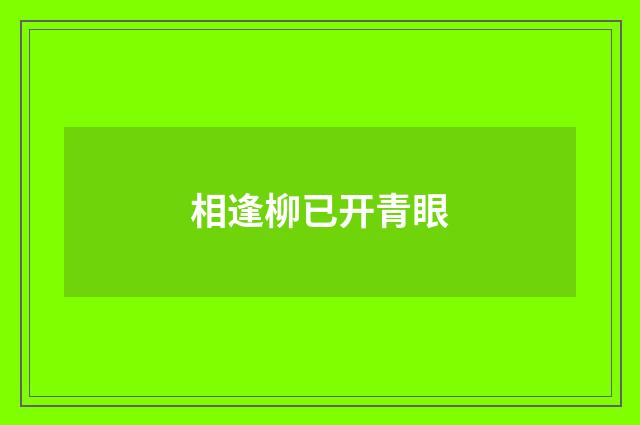 相逢柳已开青眼